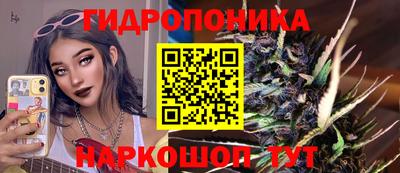 a pvp Пенза