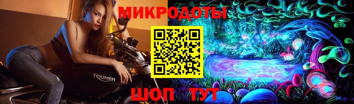 Галлюциногенные грибы Psilocybe Сибай